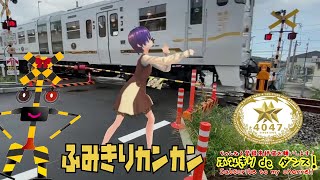 踏切動画【踏切ダンス】「しゃだーん2号」とコラボダンス　ふたつぼし4047が来たよ😄[Let's dance to the rhythm of the railroad crossing]