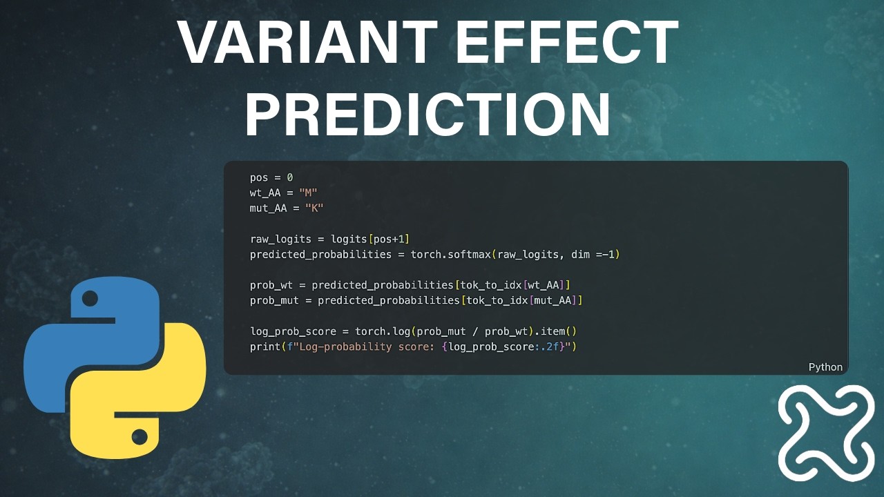 Variant Effect Prediction in Python with ESM-2