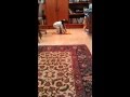 Maya Singing Twinkle Twinkle And Just Being The Best