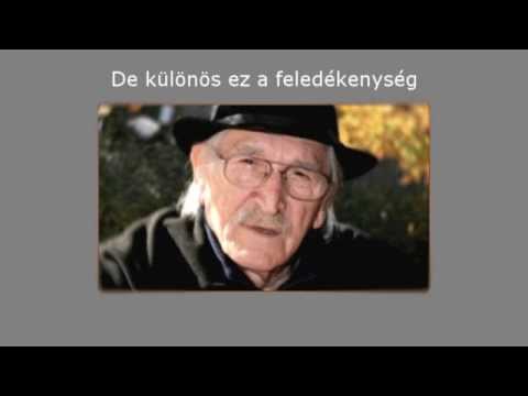Katona Bálint: Az én szerelmem ❤ Djoko Rosic emlékére ❤ HD720