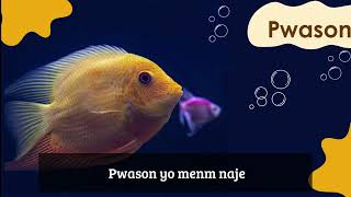 Lakou Kajou _ Naje sote vole