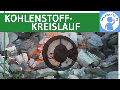 Carbon Cycle - Element Carbon, Occurrence & Processes / Cycle Explained - Ecology