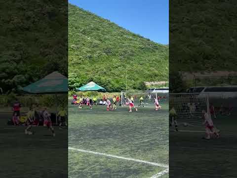 Video-Miniaturansicht