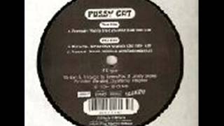 Pussycat ‎-- Wanna Drive You Wild (Sex Mix)