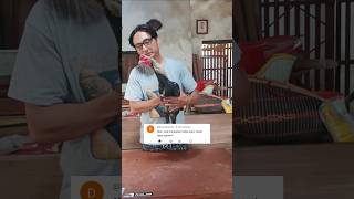 Download lagu Cara mengatasi ayam cepat ngos ngosan @jago102 #ayambangkokindonesia #shorts #short mp3