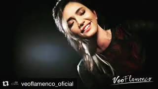 Nankör kedi / Berk Gürman - Öykü Gürman