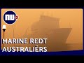 Marine redt Australiërs uit door bosbranden omringd dorp | NU.nl