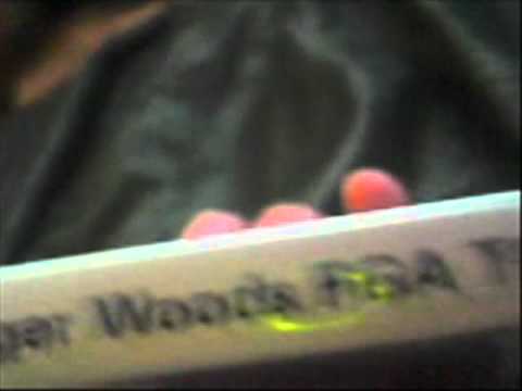 Tiger Woods PGA Tour 08 PSP