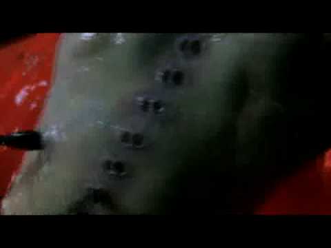 "STOP" by KARMACY feat Nimo Patel feat Nicco