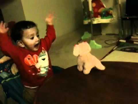 Samit playing with puppy