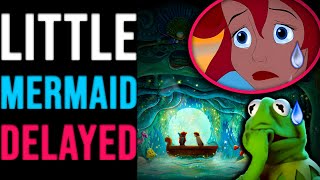 DELAYED: Disney&#39;s Little Mermaid Stage Show POSTPONED | Muppets SAFE? | Disney&#39;s Hollywood Studios