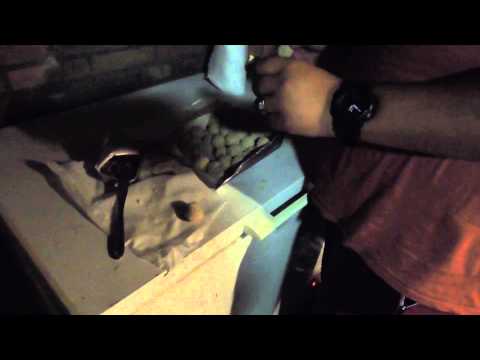 rijtuig prank - bitterballen met kattenvoer