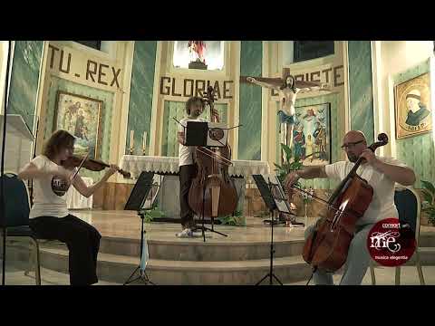 MATTEO CICCHITTI & MUSICA ELEGENTIA - "Wagenseil Medley"