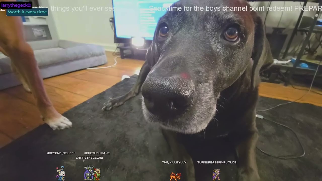 youtube VOD