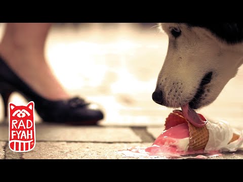 Teeth 'n' Tongue Jam - Luxury Problem