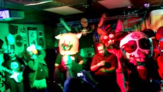 Green Jelly - The Bear Song- Live at Cold Brew Bar, 12-05-2014