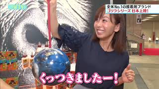 「ゴリラシリーズ」驚異の接着力を体験してきました！