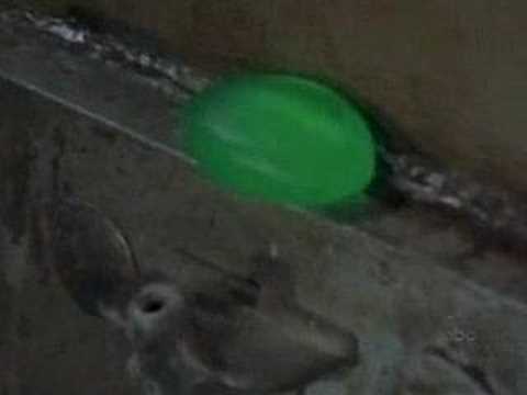 stephen king's desperation shane haboucha