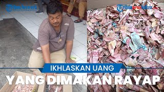 Ikhlaskan Uang Puluhan Juta yang Rusak Dimakan Rayap, BI Hanya Bisa Ganti Sebagian Uang yang Rusak