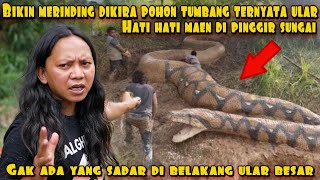 Download lagu HAMPIR DI MAKAN ULAR RAKSASA PAS LAGI MUKBANG IKAN BAKAR PINGGIR SUNGAI mp3