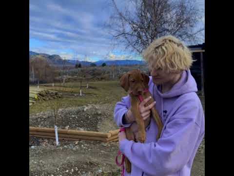 Cavasoul & Vedh - Clouds [lyrics]