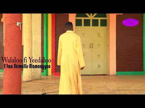 faaruu haaraa Ortodookis Tawaahidoo F/Shimaallis Alamaayyoo ''Haadha Ummaa saba Hunduma''