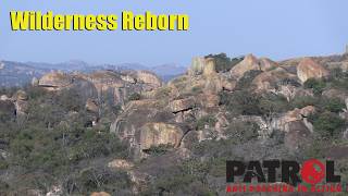 Wilderness Reborn: Zimbabwe’s Community Conservation Success