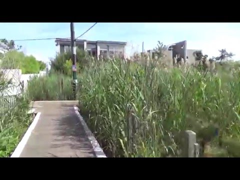 download lagu mp3 mp4 Pines Pantry Internet, download lagu Pines Pantry Internet gratis, unduh video klip Pines Pantry Internet