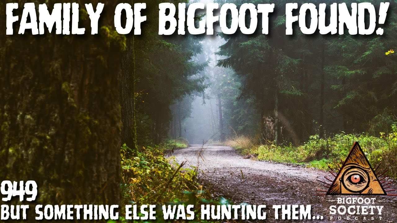 Family of Bigfoot Found in Oregon: A Paranormal Investigator’s True Encounter