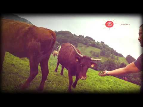Cantal + - WAZOO - Le Puy Mary - Auvergne - Polka d'Olt - Le Claux  - Rock Rural - Hymne