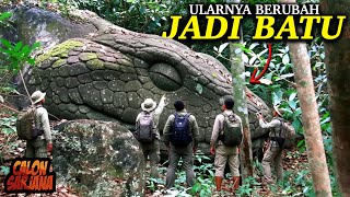 Download lagu NOT A FAIRY TALE! 🐍⚠️ This is the World's First 150-Meter-Long, Petrified Snake! mp3 Download lagu NOT A FAIRY TALE! 🐍⚠️ This is the World's First 150-Meter-Long, Petrified Snake! mp3
