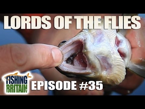 Lords of the Flies – Fishing Britain, episode 35