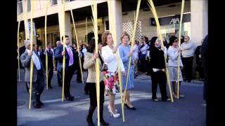 preview picture of video 'Elche - Domingo de Ramos 2015'