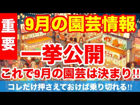 夏の球根をいつ、どのように植えるのですか？シンプルなガイドを自由にご利用いただけます  庭園