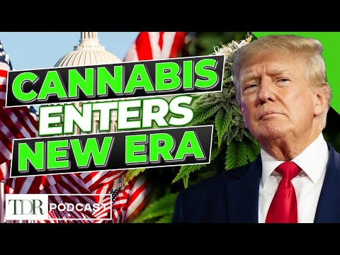Cannabis Enters a New Federal Era | TDR Cannabis in 5
