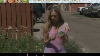 Brigitte Mars: Yellow Dock