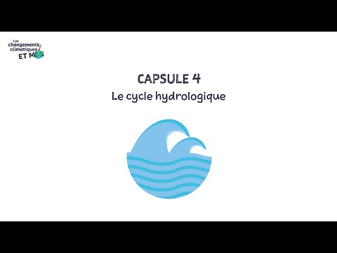 Capsule 4 : Le cycle hydrologique