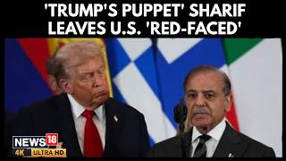 Trump's Praise, Awkward Group Moment: Shehbaz Sharif's Day At 'Board Of Peace' Meet | 4K