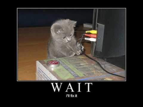 selma tako si hladan