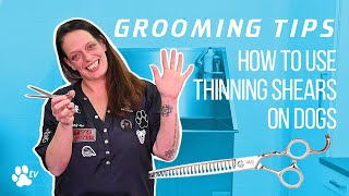 How to use thinning shears on dogs | Grooming Tips - TRANSGROOM