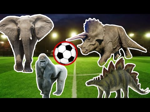 Wild Animals VS Dinosaurs Football Elephant Gorilla Black Bear Stegosaurus Triceratops Ankylosaurus