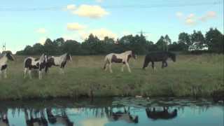 Red River Dialect - "Great Eastern Sun" (Official Video)