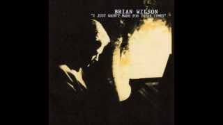 Brian Wilson-Meant For You