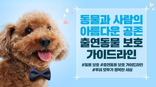 동물 촬영 시 동물보호·복지를 생각해주세요 | 동물과 사람의 아름다운 공존