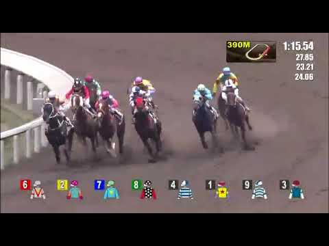 V Borges   Touch Of Luck   6ª vitória HK