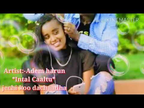 Adam Harun , Almaz fi Hallo ** Intal Caaltuu ** best old oromo music *2017*