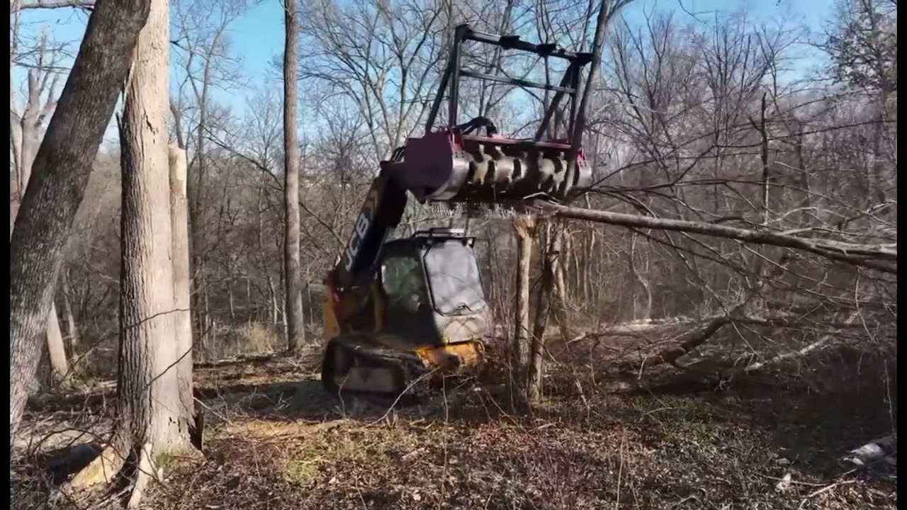 Forestry Mulching clearing the woods!