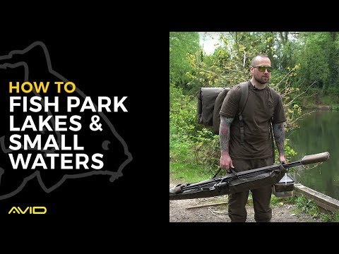 AVID CARP- How to Fish Park Lakes & Small Waters