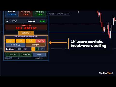 Video Trading Panel PRO MT5