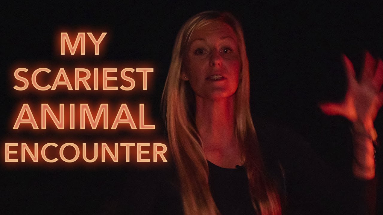 My Scariest Animal Encounter While Backpacking